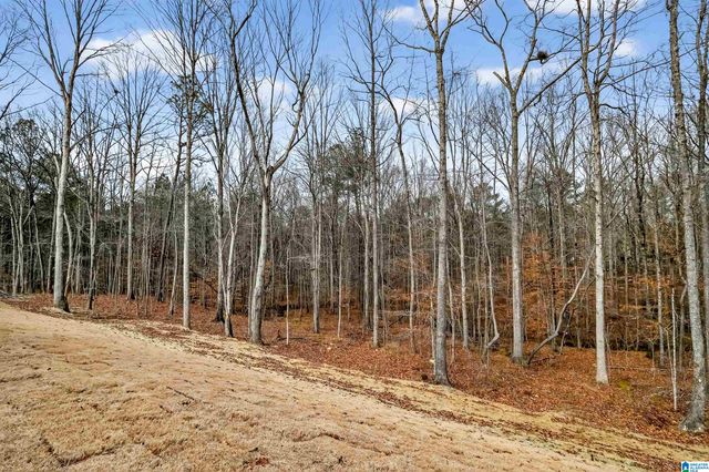 1122 GREY OAKS VALLEY, Pelham, AL 35124