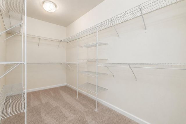 13583 ELYSIAN DR, Leesburg, VA 20176