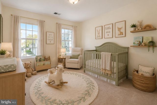 13583 ELYSIAN DR, Leesburg, VA 20176