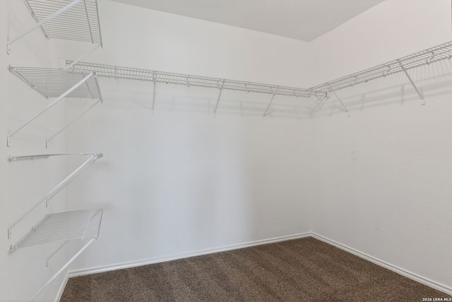 332 Lonestar Gait, Selma, TX 78154