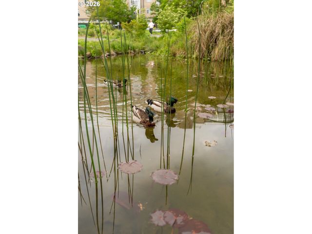 1255 Nw 9TH Ave 314, Portland, OR 97209