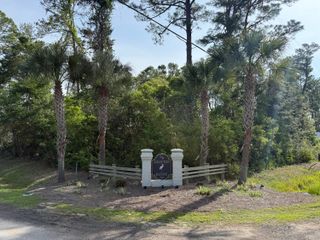 Lot 25 E Point Washington Road, Santa Rosa Beach, FL 32459