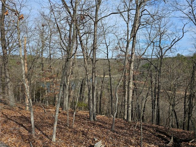 349 CR-154, Eureka Springs, AR 72632