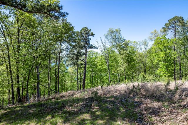 349 CR-154, Eureka Springs, AR 72632