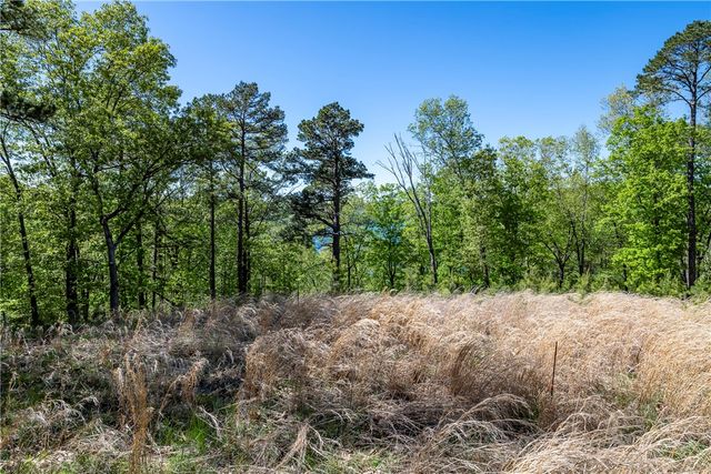 349 CR-154, Eureka Springs, AR 72632