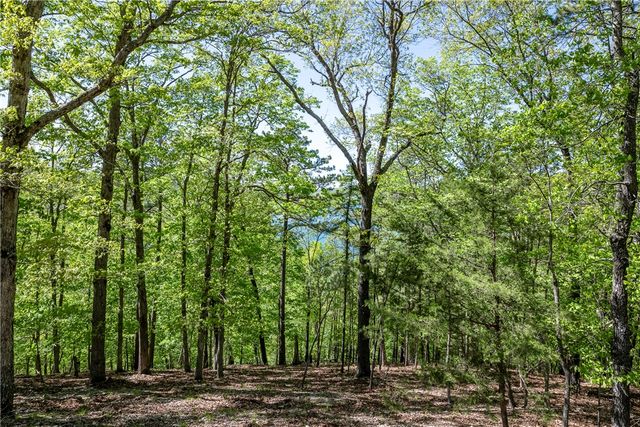 349 CR-154, Eureka Springs, AR 72632