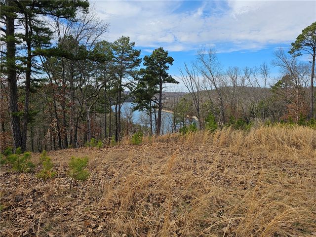 349 CR-154, Eureka Springs, AR 72632