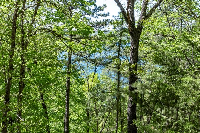 349 CR-154, Eureka Springs, AR 72632