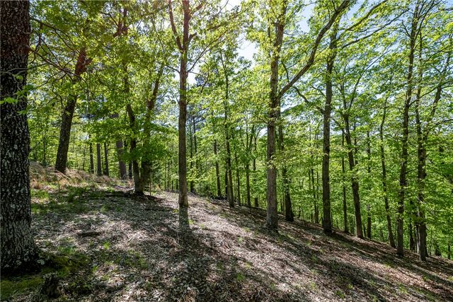 349 CR-154, Eureka Springs, AR 72632