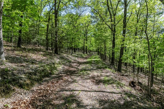 349 CR-154, Eureka Springs, AR 72632