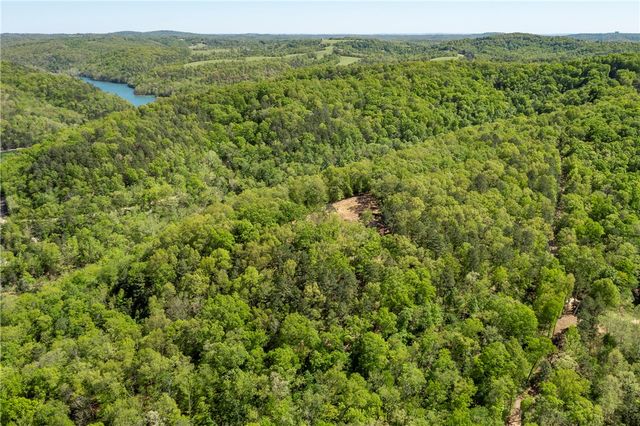 349 CR-154, Eureka Springs, AR 72632