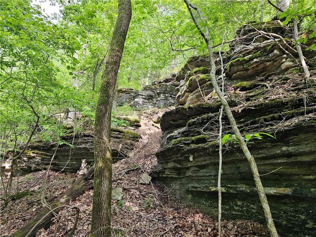 349 CR-154, Eureka Springs, AR 72632