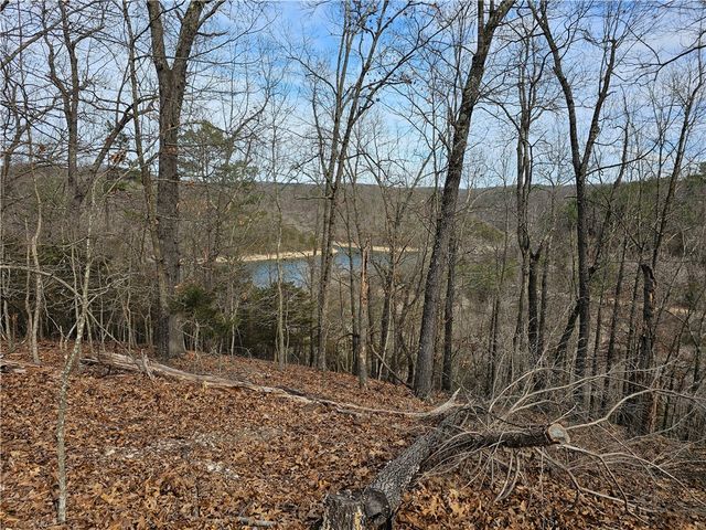 349 CR-154, Eureka Springs, AR 72632