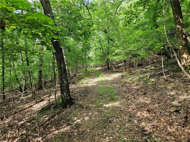 349 CR-154, Eureka Springs, AR 72632