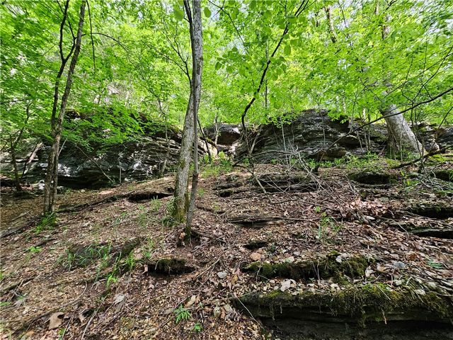 349 CR-154, Eureka Springs, AR 72632