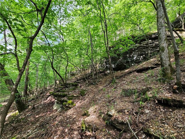 349 CR-154, Eureka Springs, AR 72632