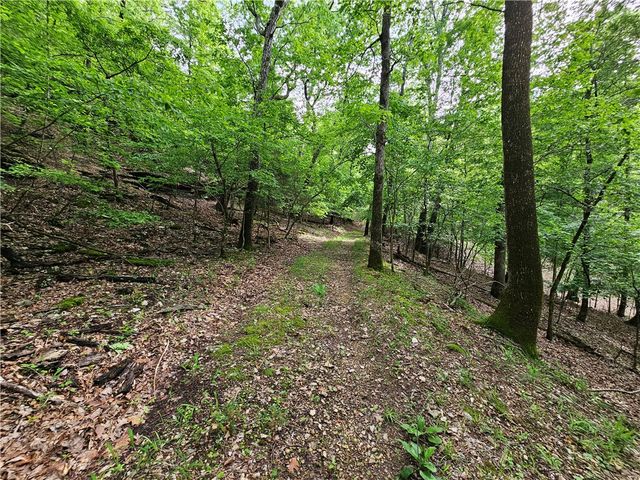 349 CR-154, Eureka Springs, AR 72632