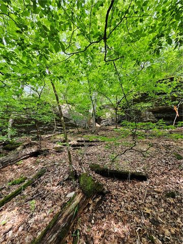 349 CR-154, Eureka Springs, AR 72632