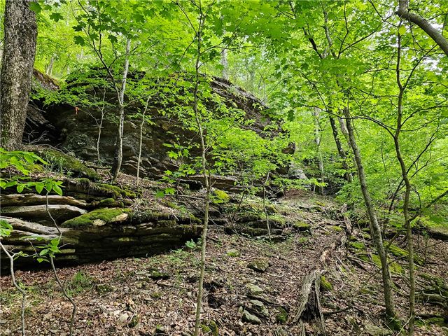 349 CR-154, Eureka Springs, AR 72632