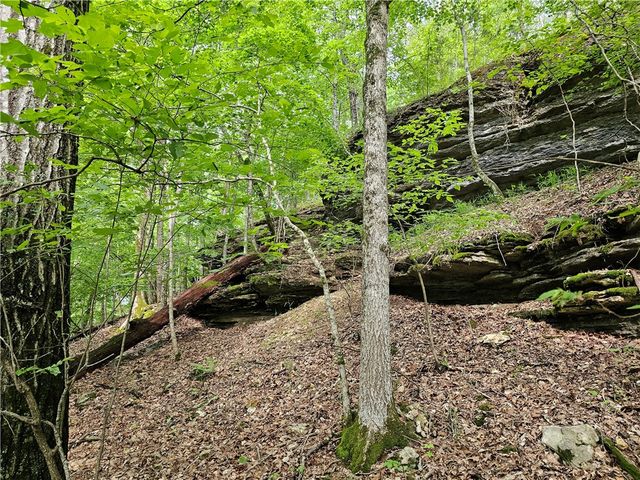 349 CR-154, Eureka Springs, AR 72632