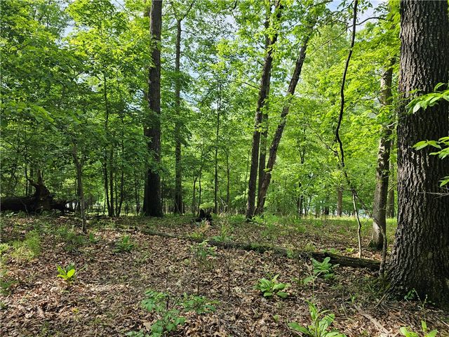 349 CR-154, Eureka Springs, AR 72632