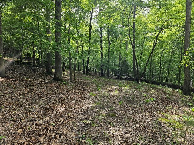 349 CR-154, Eureka Springs, AR 72632