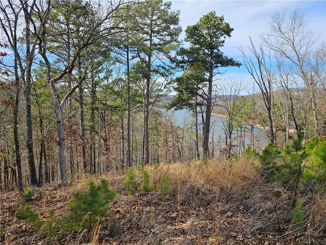 349 CR-154, Eureka Springs, AR 72632