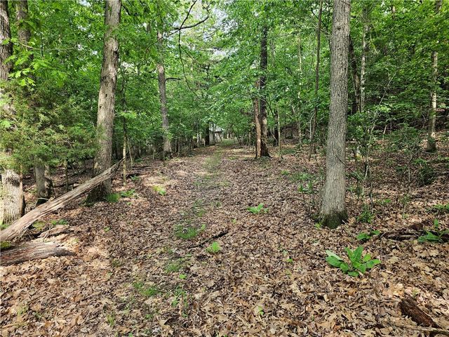 349 CR-154, Eureka Springs, AR 72632