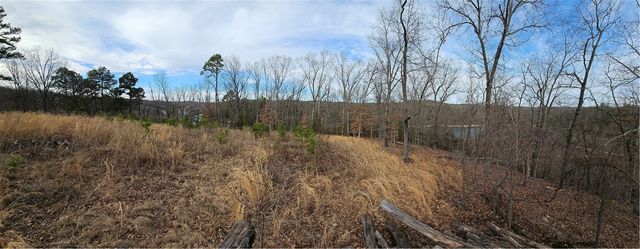 349 CR-154, Eureka Springs, AR 72632