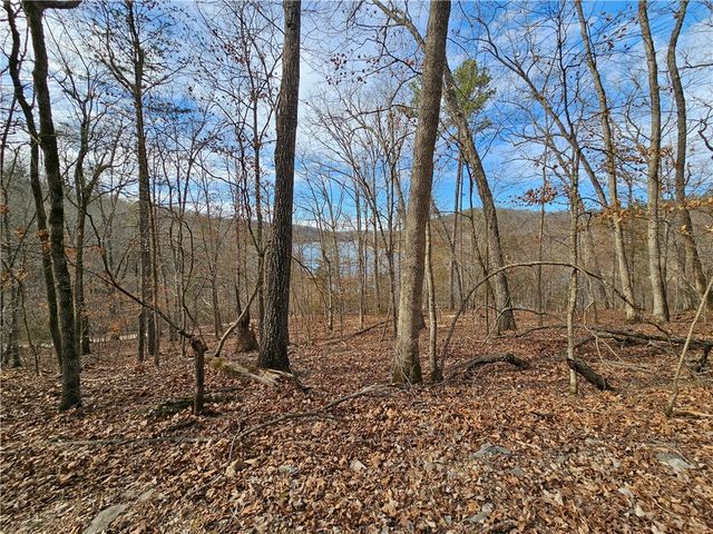 349 CR-154, Eureka Springs, AR 72632