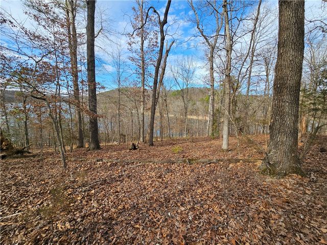 349 CR-154, Eureka Springs, AR 72632