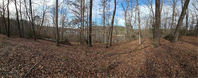 349 CR-154, Eureka Springs, AR 72632