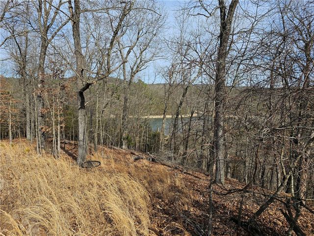 349 CR-154, Eureka Springs, AR 72632