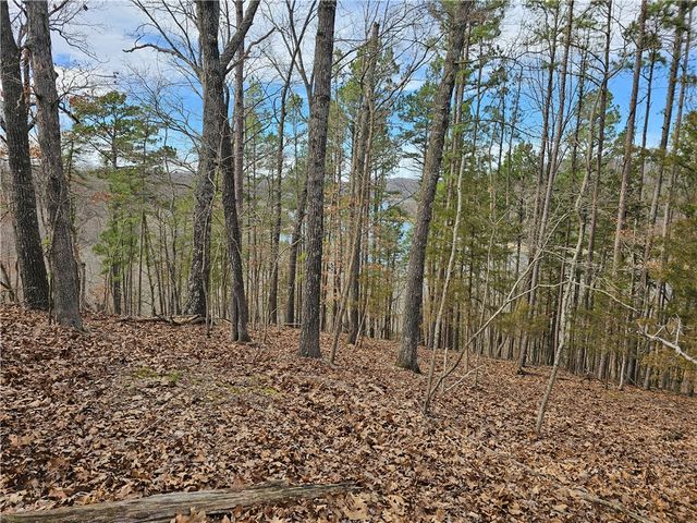 349 CR-154, Eureka Springs, AR 72632