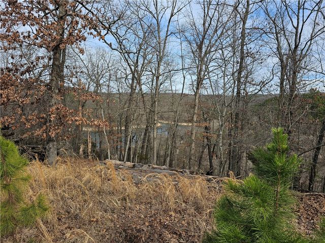 349 CR-154, Eureka Springs, AR 72632