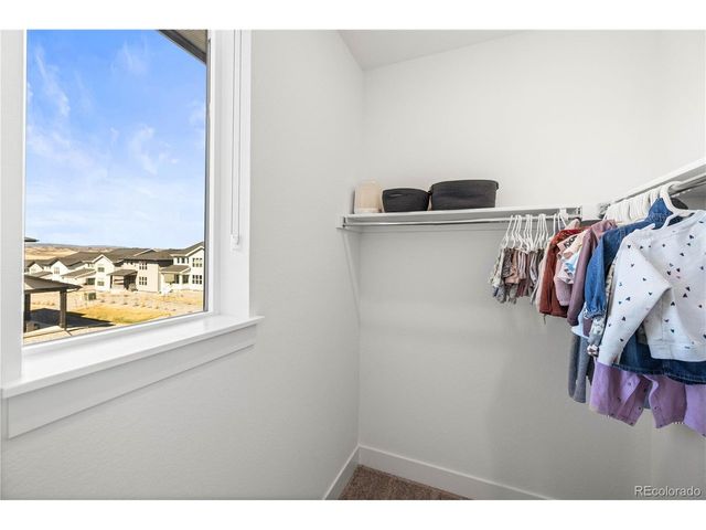 364 Welded Tuff Trl, Castle Rock, CO 80104