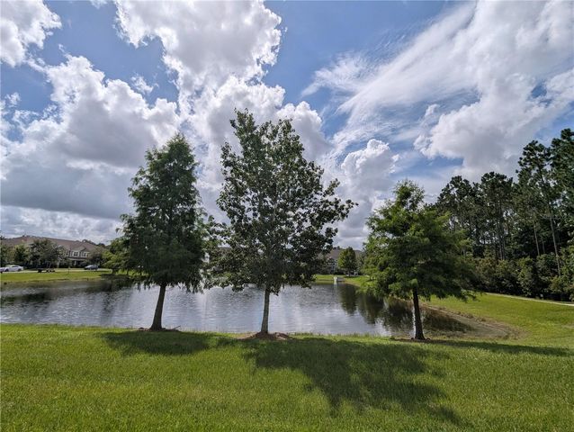8855 HERENCIA ALLEY, Windermere, FL 34786