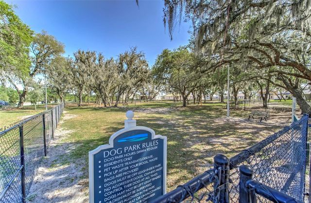 12820 BENT TWIG DRIVE, Riverview, FL 33579