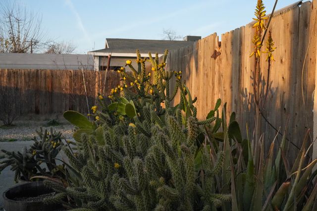 1705 E Foster Drive B, Tulare, CA 93274