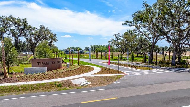 3412 LUMBER FALLS DRIVE, Plant City, FL 33565