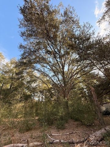 2513 Madison Street, Inverness, FL 34453