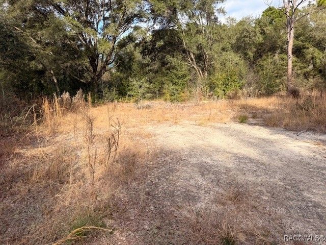 2513 Madison Street, Inverness, FL 34453