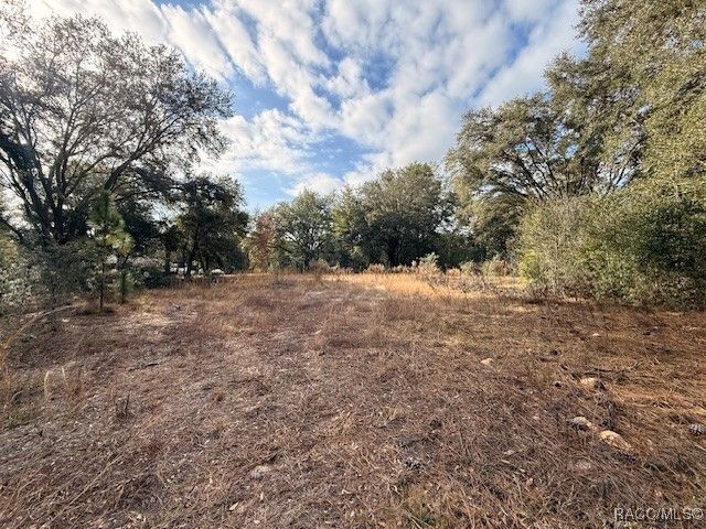 2513 Madison Street, Inverness, FL 34453