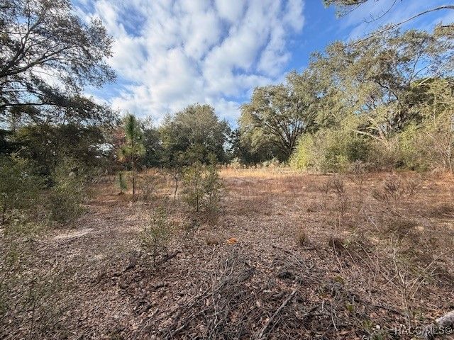 2513 Madison Street, Inverness, FL 34453