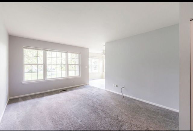 1202 N Red Oak Circle 2, Round Lake Beach, IL 60073