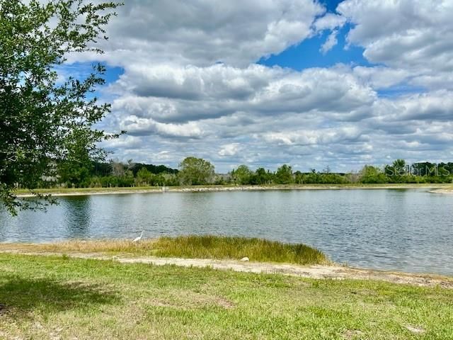 9750 CAMPANULA COURT, Land O Lakes, FL 34638