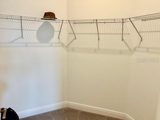 9750 CAMPANULA COURT, Land O Lakes, FL 34638