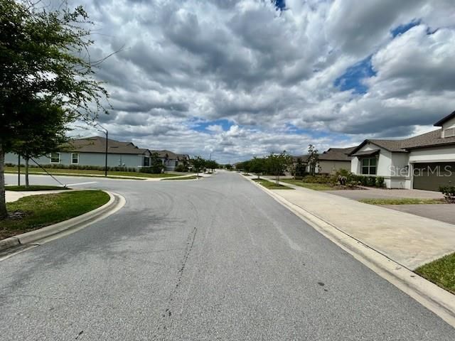 9750 CAMPANULA COURT, Land O Lakes, FL 34638