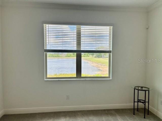 9750 CAMPANULA COURT, Land O Lakes, FL 34638