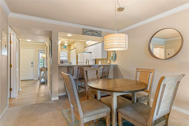 443 BOUCHELLE DRIVE 204, New Smyrna Beach, FL 32169
